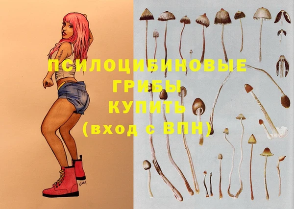 шишки Майский