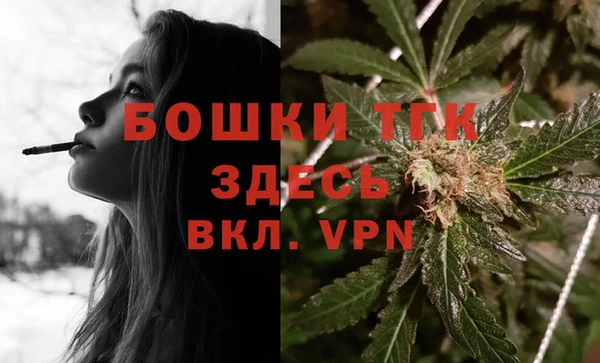 крисы Медвежьегорск