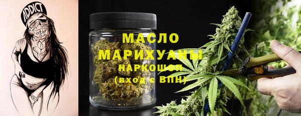 тгк Медногорск
