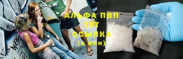 крисы Медвежьегорск
