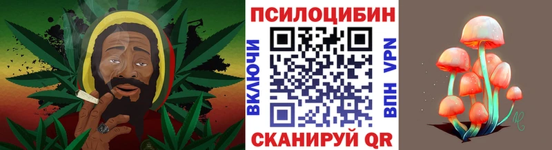 Псилоцибиновые грибы прущие грибы  Купить где  Сочи 